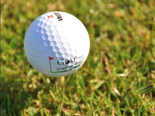 Golf de la Forêt d’Orient